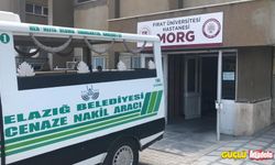 Elazığ'da otomobilin çarptığı yaşlı kadın öldü