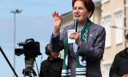 İYİ Partili Akşener: "Fındık 4 doların altında verilmeyecek"