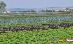 Deprem bölgesinde tarımsal üretim sürdürülebilir hale getirilecek!