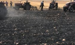 Diyarbakır'da yangın! 100 dönüm arpa ve buğday kül oldu