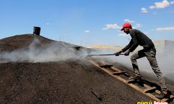 Diyarbakır Sıcağında Alın Teri Döken İşçiler, Ateş Karşısında Mangal Kömürü Üretiyor