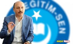 Türk Eğitim-Sen Genel Başkanı Geylan'dan memur zammına ilişkin açıklama