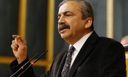 Sırrı Süreyya Önder yeniden Meclis'te! Önder’e kırmızı plaka