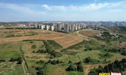 İstanbul’un taşı toprağı 'altın'dan kıymetli oldu!