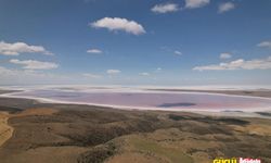 Tuz Gölü, algler ve bakteriler nedeniyle  pembe renge büründü