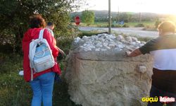 Bolu'da vatandaşlar lahit mezar sandı, üzerine beton dökülmüş kayaç çıktı!