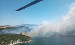 İzmir'de İki Farklı Yerde Orman Yangını!