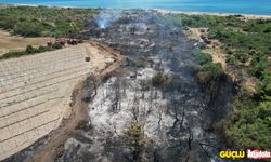 Manavgat'taki orman yangınında ihmal iddiası