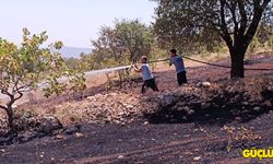 Siirt 'de korkutan yangın!  onca yıllık emek kül oldu!