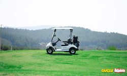 3 yaşındaki çocuk, Golf arabasıyla abisini öldürdü