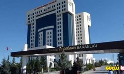 Tarım ve Orman Bakanlığı Destek Hizmetleri Dairesi Başkanlığı'ndan ilan