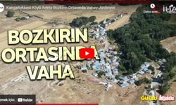 Sivas'ın Kangaltekkesi köyü adeta bozkırın ortasında vahayı andırıyor