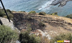 Antalya'da otluk alanda yangın çıktı!