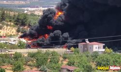 Zonguldak'ta sabaha karşı yanan ev küle döndü!