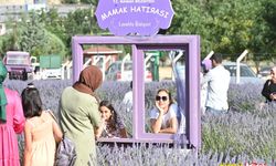 Mamak Belediyesi Lavanta Bahçesine Büyük İlgi