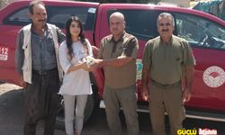 Şanlıurfa’da yaralı bulunan peçeli baykuş tedavi altına alındı