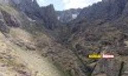 Yüksekova’da engerek yılanı görüntülendi