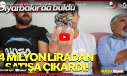 Diyarbakır'a düşen göktaşı bilinmezliğe ışık tutuyor! O göktaşı 4 Milyon TL'ye satılıyor!