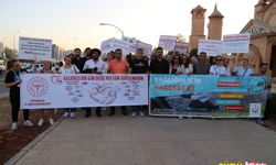 Diyarbakır'da Sağlıklı Yaşam Yürüyüşü yapıldı