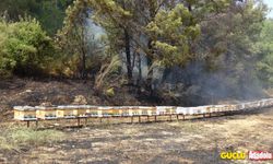 Manavgat'ta rüzgârın etkisiyle araziye sıçrayan yangın, ormanlık alana ulaştığı sırada söndürüldü