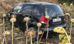 Afyon Karahisar'da otomobil takla atıp ay çiçek tarlasına girdi