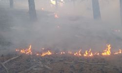 Adana'nın Feke ilçesinde orman yangını