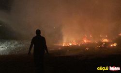 Erzincan’da yangın