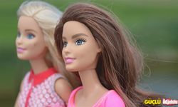 Fotoğrafı Barbie'ye dönüştürme, Fotoğrafı Barbie'ye dönüştürecek bir program var mı?