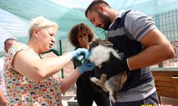Bademlidere Cumhuriyet Parkı'nda hayvanların sağlık kontrolleri başladı