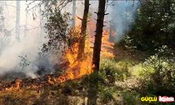 Sultangazi Kent Ormanı’nda yangın çıktı