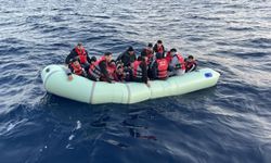 Ayvacık'da kaçak göçmenler yakalandı