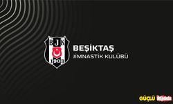 Beşiktaş başkanlık seçimine gidiyor!