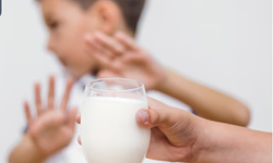 Çocuklarda süt ve yumurta alerjisi neden görülür?