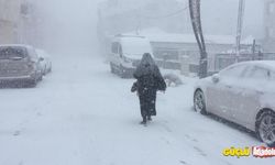 Karabük'te kar yağdı: Araçlar yolda kaldı!