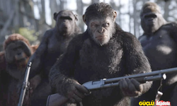 Maymunlar Cehennemi: Şafak Vakti filminin konusu ne?