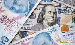Türkiye'nin dolar zengini ili belli oldu