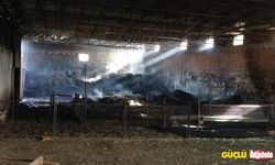 Çanakkale'deki yangında çiftlik kül oldu
