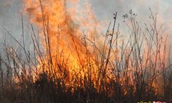 Beyşehir Gölü sazlıklarında korkutan yangın