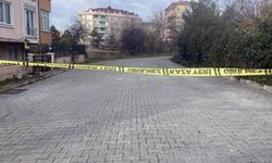 İstanbul Büyükçekmece'de el bombası!