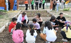 Ekolojik Köy bir Eğitim kampüsü