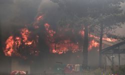 Şili’deki orman yangınlarında can kaybı sayısı 64’e yükseldi