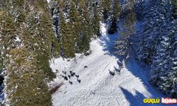 Uludağ'da kayak sezonuna büyük ilgi