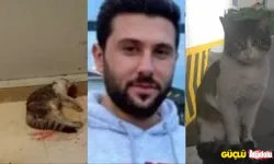 İbrahim Keloğlan Kedi katili oturduğu sitede presto ediliyor!