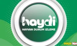 HAYDİ Uygulaması İle Çevre ve Hayvan Suçlarına Anlık İhbar