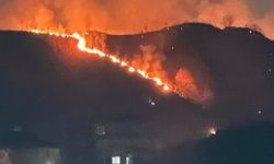 Trabzon'da ormanlık alanda yangın çıktı!