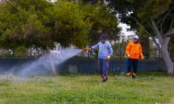 Mersin Belediyesi, zararlı böcekler için mücadele başlattı