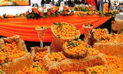Esnafa ’Portakal Çiçeği Karnavalı’ dopingi
