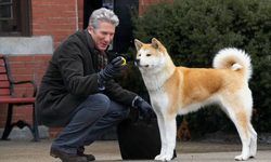 Hachiko filminin konusu ne, oyuncuları kim?