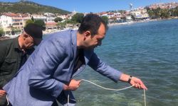 Akdeniz’in suyu bu yıl 23. kez Ege Denizi ile buluşuyor