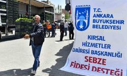 Ankara Büyükşehir Belediyesi'nden sebze fidesi dağıtımı